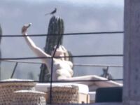 Olivia Wilde Nude Tits (Topless) on a Beach Mexico February 11, 2026