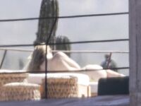 Olivia Wilde Nude Tits (Topless) on a Beach Mexico February 11, 2026