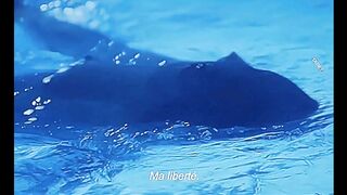 Imogen Poots Fully Nude "The Chronology of Water" 2025 LQ
