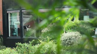 Mathilde Ollivier Nude Tits "The Wailing" 2024 / Mathilde Ollivier Desnuda Tetas "El llanto"