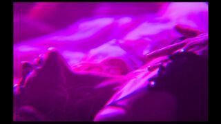 Olena Lavrenyuk, Oksana Cherkashyna Nude Tits Sex Scenes "Vsi VIdtinky Spokusy" (2026)
